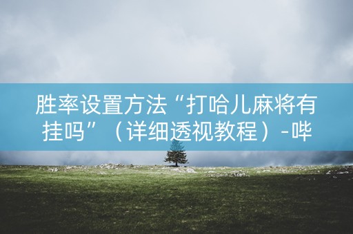 胜率设置方法“打哈儿麻将有挂吗”（详细透视教程）-哔哩哔哩