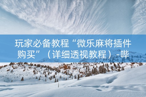玩家必备教程“微乐麻将插件购买”（详细透视教程）-哔哩哔哩