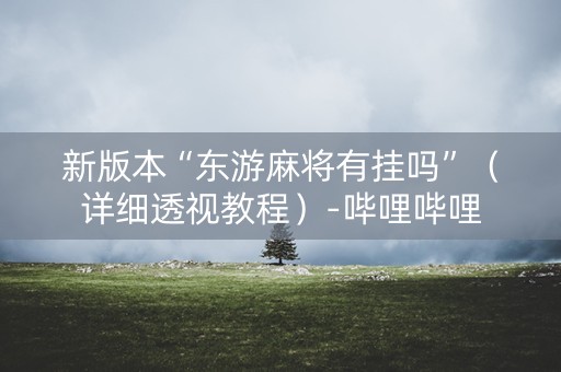 新版本“东游麻将有挂吗”（详细透视教程）-哔哩哔哩