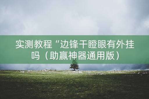 实测教程“边锋干瞪眼有外挂吗（助赢神器通用版）