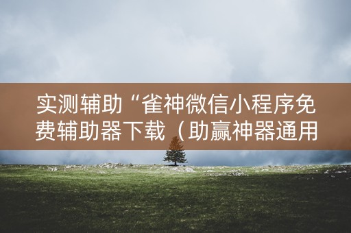 实测辅助“雀神微信小程序免费辅助器下载（助赢神器通用版）