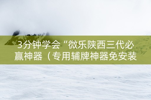 3分钟学会“微乐陕西三代必赢神器（专用辅牌神器免安装）