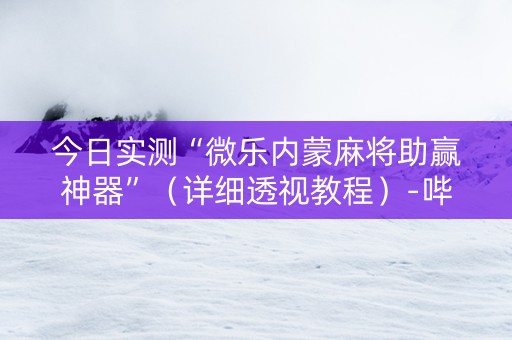 今日实测“微乐内蒙麻将助赢神器”（详细透视教程）-哔哩哔哩