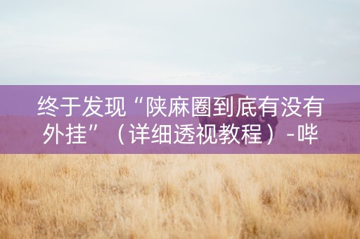 终于发现“陕麻圈到底有没有外挂”（详细透视教程）-哔哩哔哩