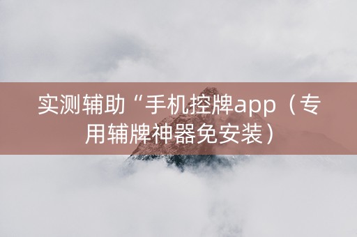 实测辅助“手机控牌app（专用辅牌神器免安装）