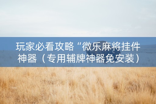 玩家必看攻略“微乐麻将挂件神器（专用辅牌神器免安装）