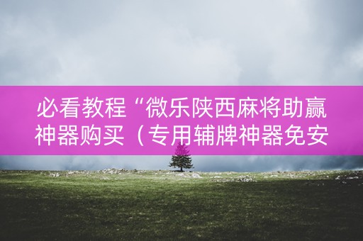 必看教程“微乐陕西麻将助赢神器购买（专用辅牌神器免安装）