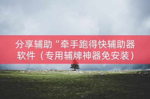 分享辅助“牵手跑得快辅助器软件（专用辅牌神器免安装）