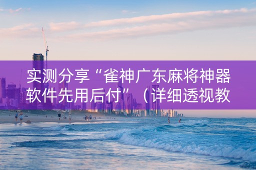 实测分享“雀神广东麻将神器软件先用后付”（详细透视教程）-哔哩哔哩