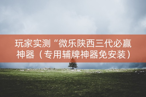 玩家实测“微乐陕西三代必赢神器（专用辅牌神器免安装）