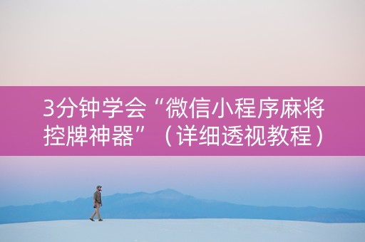 3分钟学会“微信小程序麻将控牌神器”（详细透视教程）-哔哩哔哩