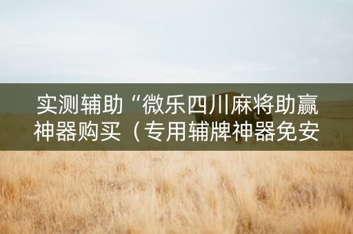 实测辅助“微乐四川麻将助赢神器购买（专用辅牌神器免安装）