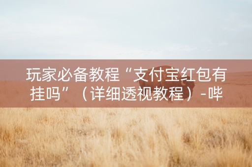 玩家必备教程“支付宝红包有挂吗”（详细透视教程）-哔哩哔哩