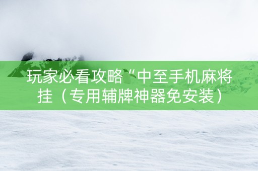 玩家必看攻略“中至手机麻将挂（专用辅牌神器免安装）