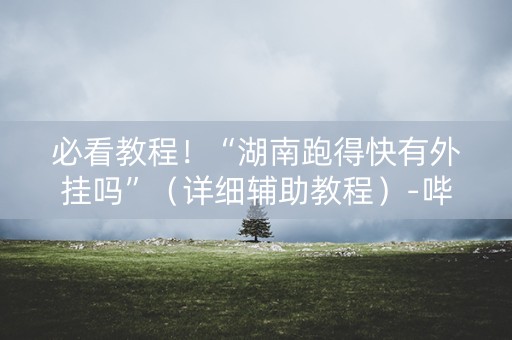 必看教程！“湖南跑得快有外挂吗”（详细辅助教程）-哔哩哔哩