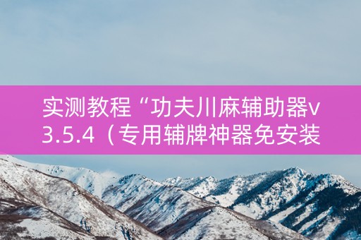 实测教程“功夫川麻辅助器v3.5.4（专用辅牌神器免安装）