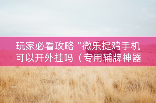 玩家必看攻略“微乐捉鸡手机可以开外挂吗（专用辅牌神器免安装）