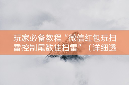玩家必备教程“微信红包玩扫雷控制尾数挂扫雷”（详细透视教程）-哔哩哔哩