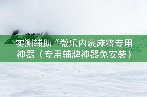 实测辅助“微乐内蒙麻将专用神器（专用辅牌神器免安装）