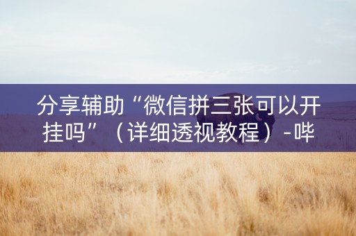 分享辅助“微信拼三张可以开挂吗”（详细透视教程）-哔哩哔哩