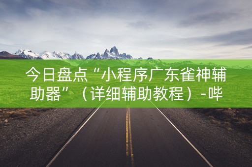 今日盘点“小程序广东雀神辅助器”（详细辅助教程）-哔哩哔哩