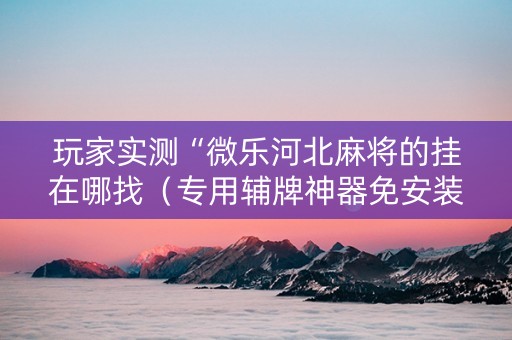 玩家实测“微乐河北麻将的挂在哪找（专用辅牌神器免安装）