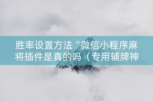 胜率设置方法“微信小程序麻将插件是真的吗（专用辅牌神器免安装）