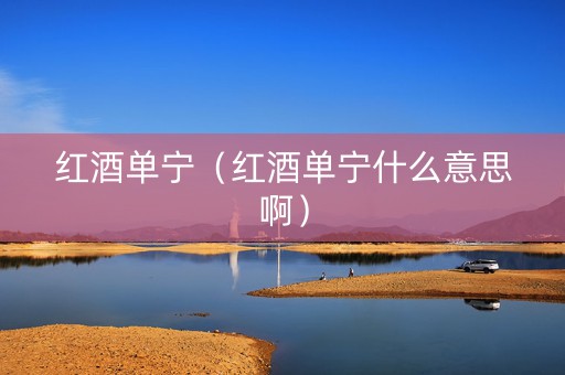 红酒单宁（红酒单宁什么意思啊）