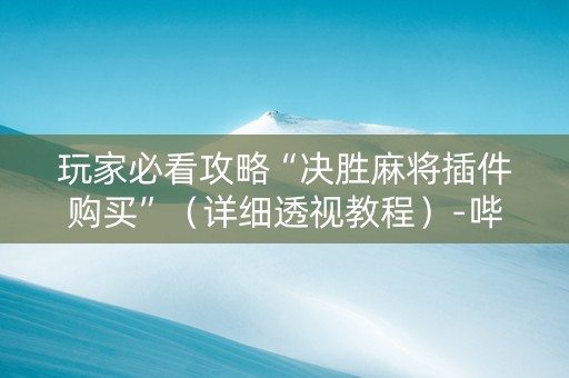 玩家必看攻略“决胜麻将插件购买”（详细透视教程）-哔哩哔哩