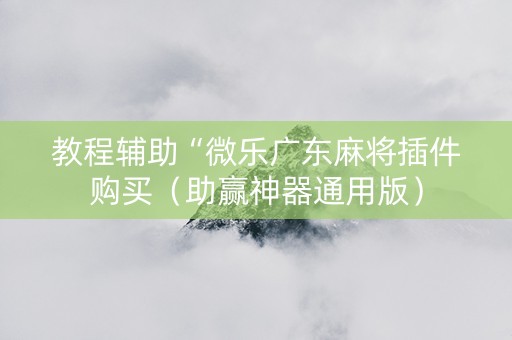 教程辅助“微乐广东麻将插件购买（助赢神器通用版）
