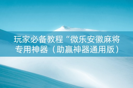 玩家必备教程“微乐安徽麻将专用神器（助赢神器通用版）
