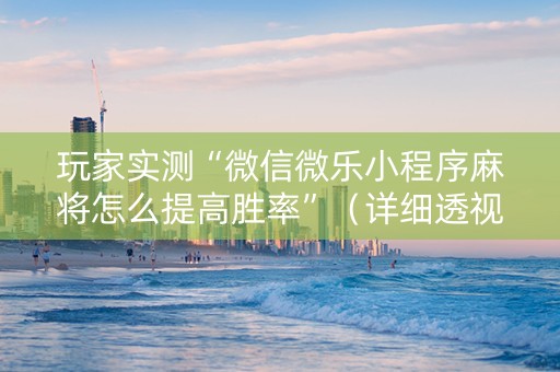 玩家实测“微信微乐小程序麻将怎么提高胜率”（详细透视教程）-哔哩哔哩