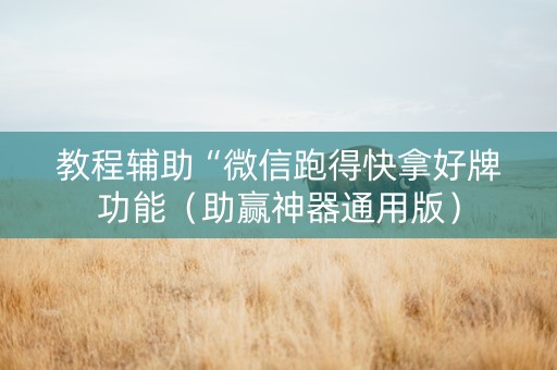 教程辅助“微信跑得快拿好牌功能（助赢神器通用版）