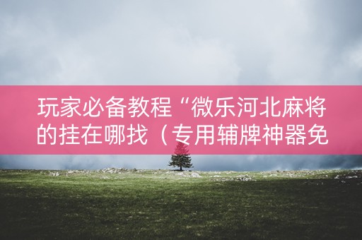 玩家必备教程“微乐河北麻将的挂在哪找（专用辅牌神器免安装）