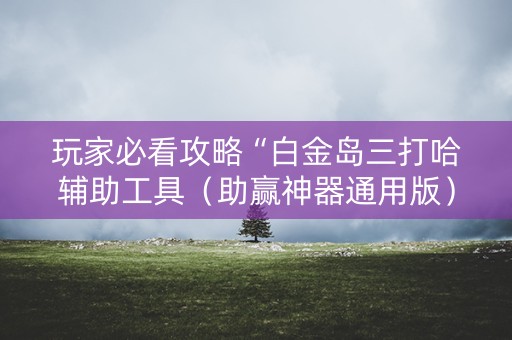 玩家必看攻略“白金岛三打哈辅助工具（助赢神器通用版）