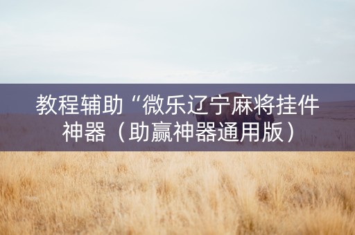 教程辅助“微乐辽宁麻将挂件神器（助赢神器通用版）