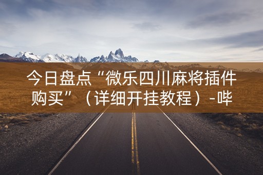 今日盘点“微乐四川麻将插件购买”（详细开挂教程）-哔哩哔哩