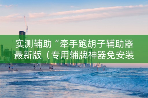 实测辅助“牵手跑胡子辅助器最新版（专用辅牌神器免安装）