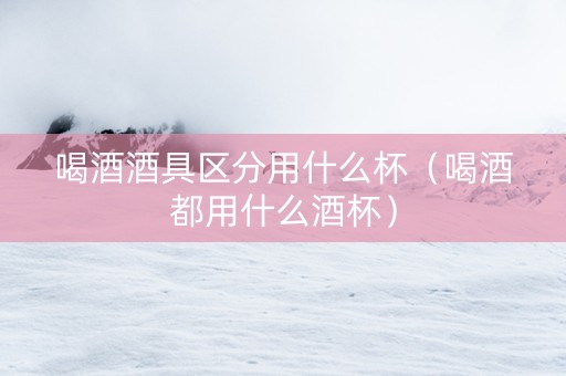 喝酒酒具区分用什么杯（喝酒都用什么酒杯）
