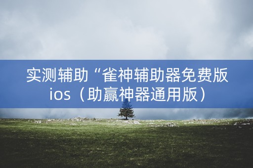 实测辅助“雀神辅助器免费版ios（助赢神器通用版）
