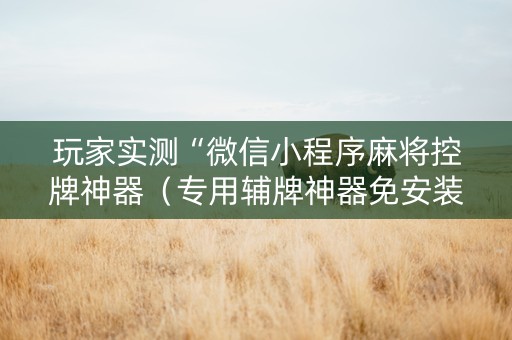 玩家实测“微信小程序麻将控牌神器（专用辅牌神器免安装）