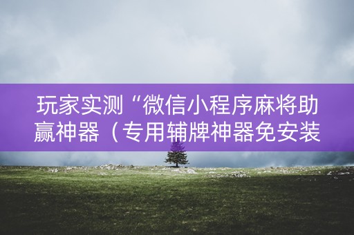 玩家实测“微信小程序麻将助赢神器（专用辅牌神器免安装）