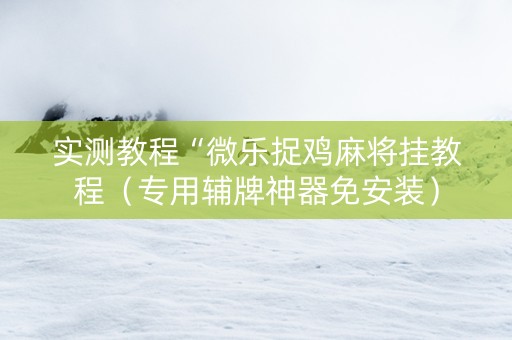 实测教程“微乐捉鸡麻将挂教程（专用辅牌神器免安装）