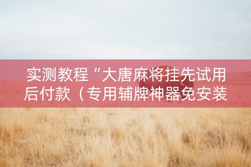 实测教程“大唐麻将挂先试用后付款（专用辅牌神器免安装）