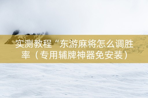 实测教程“东游麻将怎么调胜率（专用辅牌神器免安装）