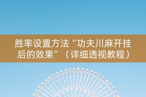 胜率设置方法“功夫川麻开挂后的效果”（详细透视教程）-哔哩哔哩