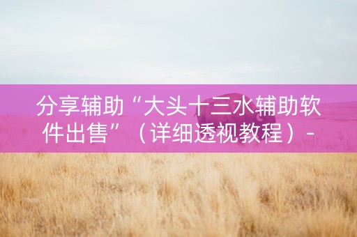 分享辅助“大头十三水辅助软件出售”（详细透视教程）-哔哩哔哩
