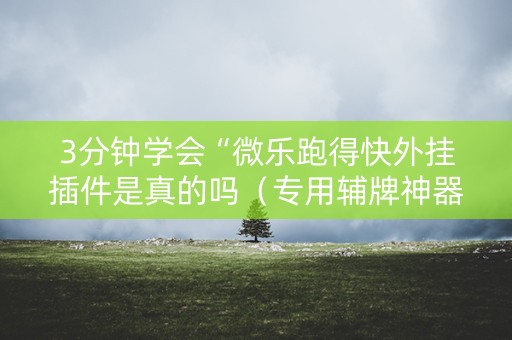 3分钟学会“微乐跑得快外挂插件是真的吗（专用辅牌神器免安装）