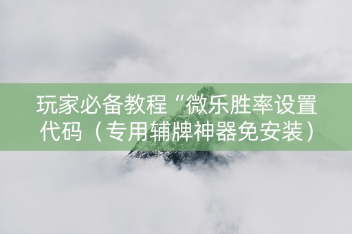 玩家必备教程“微乐胜率设置代码（专用辅牌神器免安装）