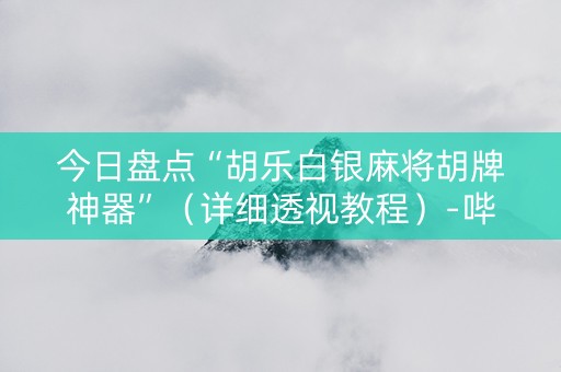 今日盘点“胡乐白银麻将胡牌神器”（详细透视教程）-哔哩哔哩